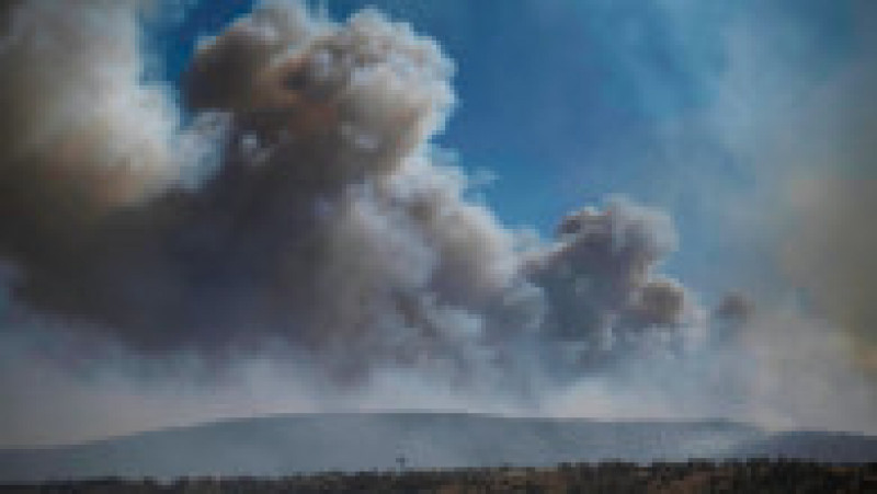 Incendiul de vegetație din New Mexico mistuie în continuare pădurile din statul american. FOTO: Profimedia Images | Poza 1 din 6