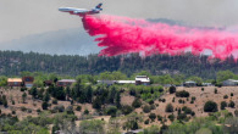 Incendiul de vegetație din New Mexico mistuie în continuare pădurile din statul american. FOTO: Profimedia Images | Poza 2 din 6