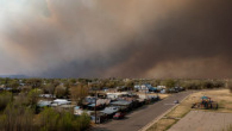 Incendiul de vegetație din New Mexico mistuie în continuare pădurile din statul american. FOTO: Profimedia Images | Poza 6 din 6
