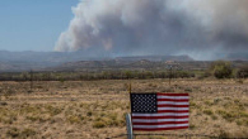 Un incendiu de pădure alimentat de seceta din nordul statului american New Mexico a căpătat proporţiile unui "mega-incendiu". FOTO: Profimedia Images | Poza 3 din 5