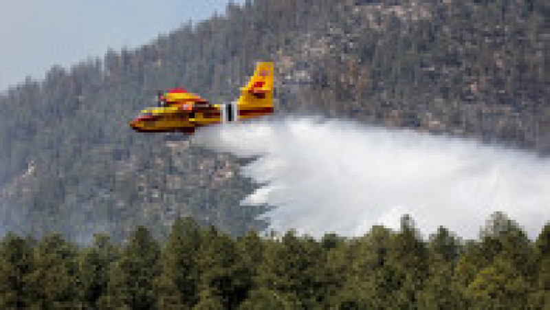 Un incendiu de pădure alimentat de seceta din nordul statului american New Mexico a căpătat proporţiile unui "mega-incendiu". FOTO: Profimedia Images | Poza 4 din 5