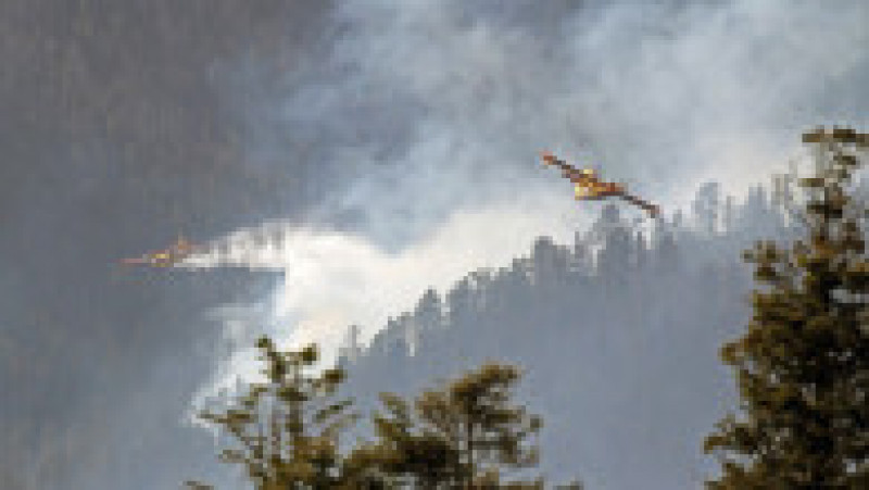 Un incendiu de pădure alimentat de seceta din nordul statului american New Mexico a căpătat proporţiile unui "mega-incendiu". FOTO: Profimedia Images | Poza 5 din 5