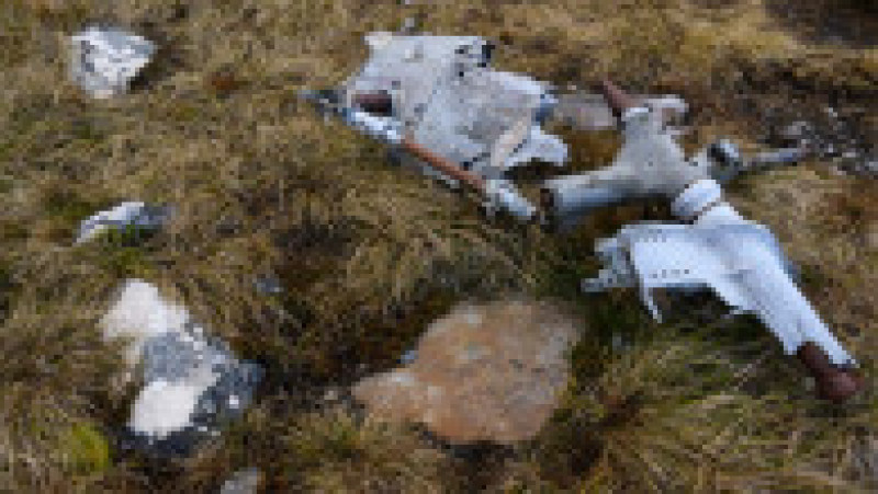 Epava unui elicopter argentinian Puma doborât în timpul războiului din insulele Falkland. Sursa foto: Profimedia Images | Poza 10 din 31