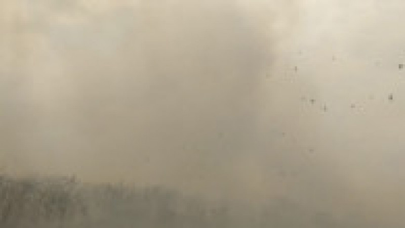 Este stare de urgenţă în Siberia, unde incendii de amploare au afectat zone extinse de vegetaţie. FOTO: Profimedia Images | Poza 3 din 8