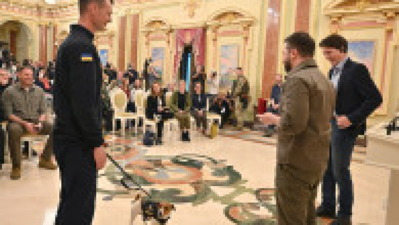 Ceremonie de premiere la Palatul Prezidențial din Kiev pentru câinele genist Patron Foto: Profimedia Images | Poza 3 din 22