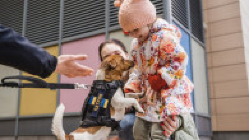 Câinele Patron, în vizită la copiii dintr-un spital Foto: Profimedia Images | Poza 20 din 22