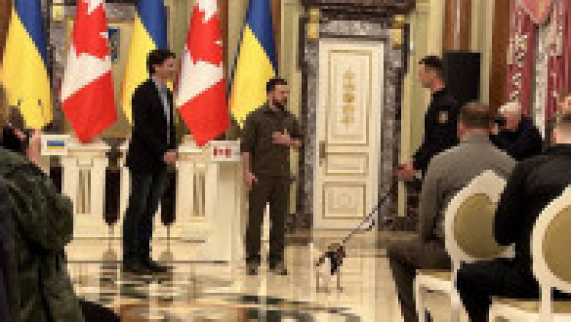 Câinele Patron, medaliat pentru devotament Foto: Deutsche Welle | Poza 1 din 22