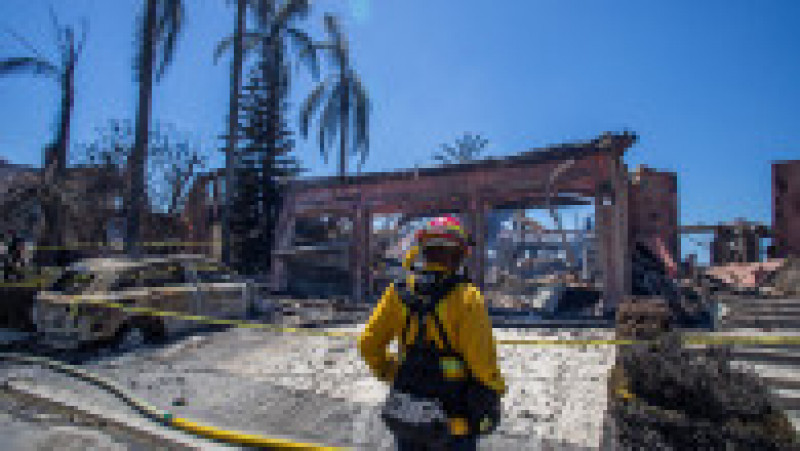 Conace de milioane de dolari au ars într-o singură noapte în California. FOTO: Profimedia Images | Poza 15 din 18
