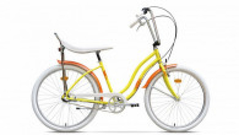 strada-2-galben-floarea-soarelui-bicicletapegas ro | Poza 1 din 8