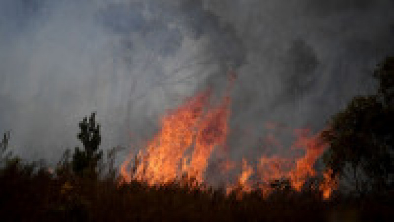 Incendii de vegetație în Australia. FOTO: Getty Images | Poza 11 din 13