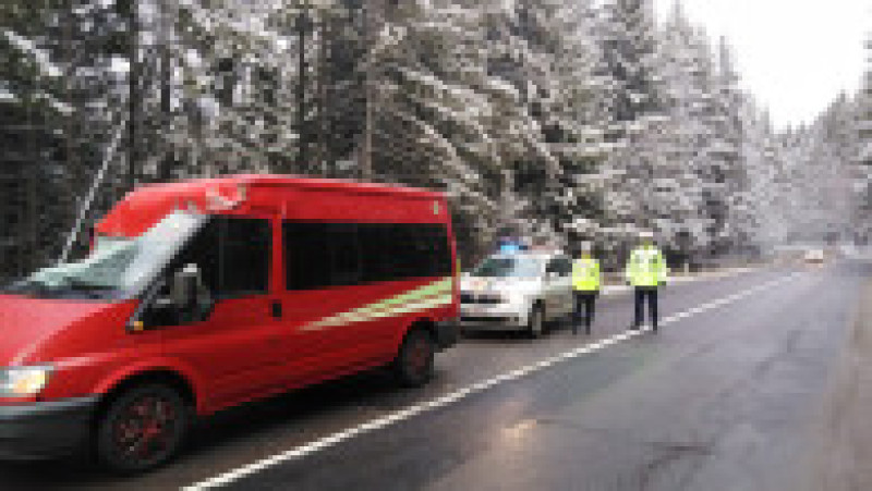 Copacii cazuti Harghita 050220 (1) | Poza 1 din 2