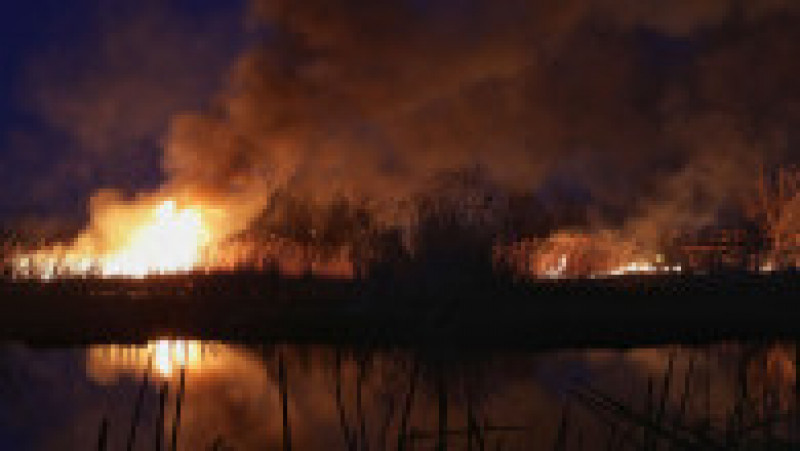 incendiu delta vacaresti ganea 20200224183247_OGN_4341-01 | Poza 8 din 12