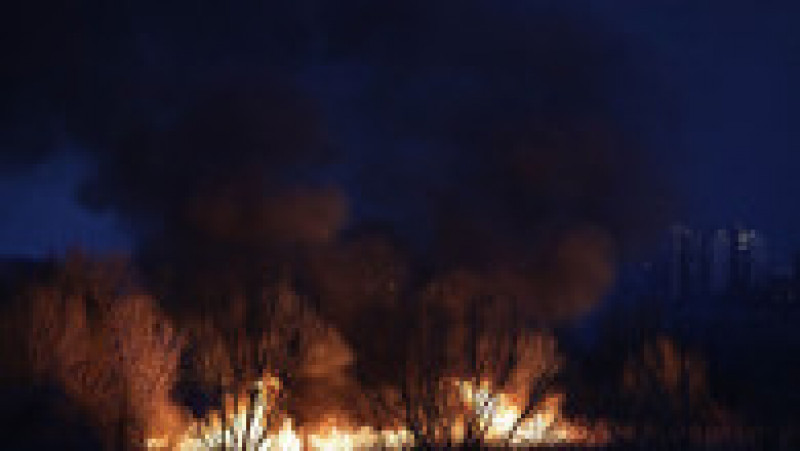 incendiu delta vacaresti - ganea 20200224181816_OGN_4234-01 | Poza 10 din 12