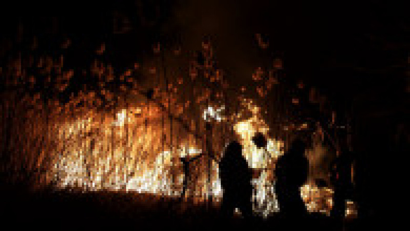 Incendiu de vegetație. Foto: Inquam Photos / Octav Ganea | Poza 11 din 12