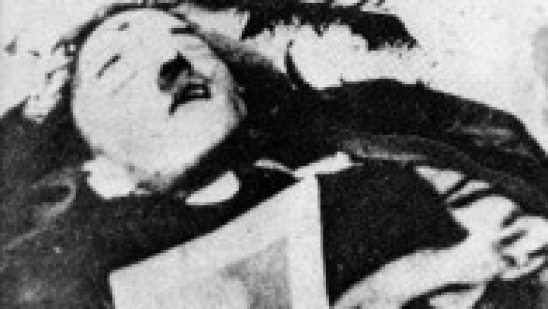 FOTO: Profimedia | Poza 7 din 7