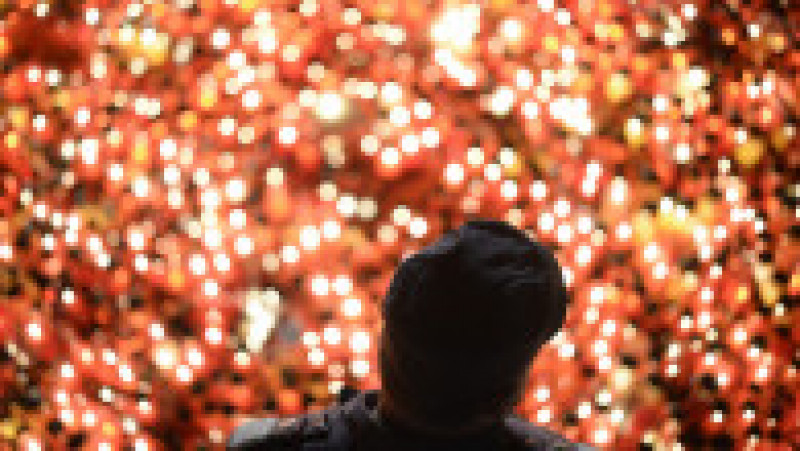 Un barbat priveste candelele aprinse in memoria victimelor care au pierit in incendiul din clubul Colectiv. Mai multe persoane aprind candele in memoria victimelor care si-au pierduti vietile in timpul incendiului din clubul bucurestean, Colectiv, duminica, 1 noiembrie 2015, Bucuresti. Foto: Inquam Photos / Octav Ganea | Poza 15 din 26