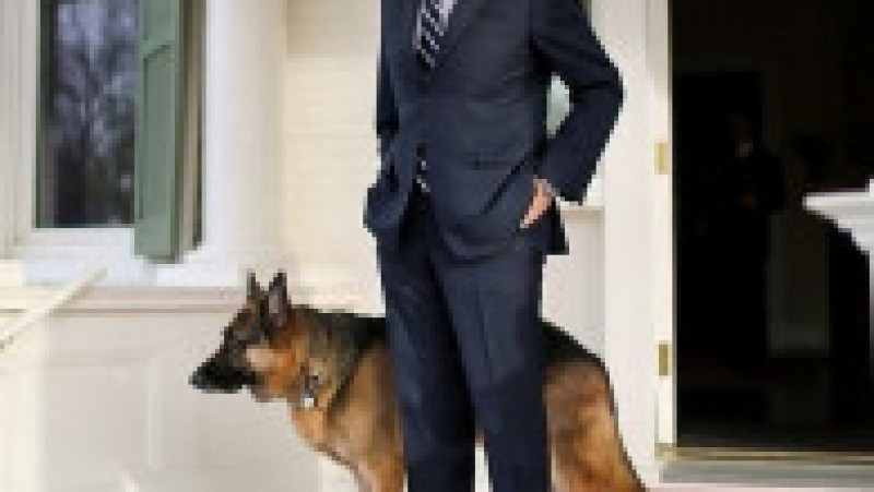 Joe și Jill Biden iubesc câinii. Sursa foto: Facebook, Twitter | Poza 4 din 9