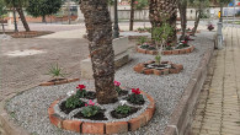 73064941_1673734042760434_2498860763641282560_n | Poza 1 din 3