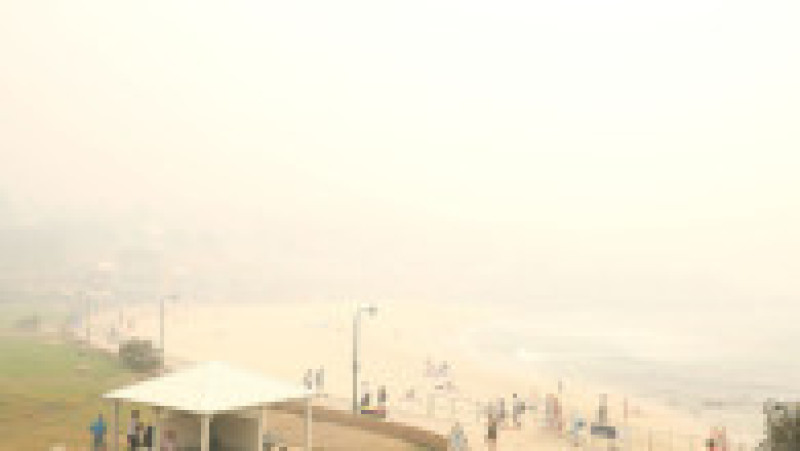 Foto: Mark Kolbe/Getty Images | Poza 5 din 8