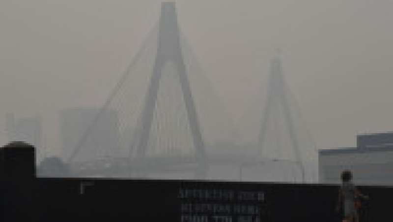 Foto: Sam Mooy/Getty Images | Poza 7 din 8