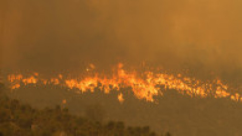 Incendii de vegetație în Australia. Foto: Profimedia Images | Poza 9 din 13