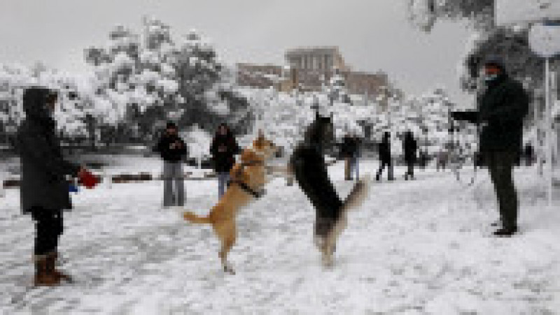 Imagini inedite din Atena, unde a nins abundent. Foto: Profimedia Images | Poza 5 din 5