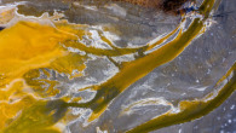 Sterilul galben de la mina de cupru din Roșia Poieni a invadat împrejurimile. Lacul în care a fost deversat crește de la an la an Foto: Ovi Pop/Solent News/Profimedia | Poza 3 din 8