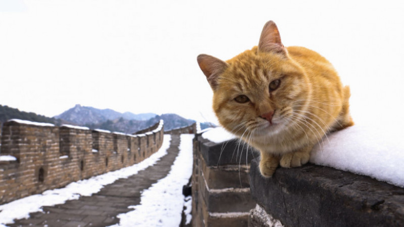 Marele Zid Chinezesc, unul dintre cele mai vizitate locuri din lume