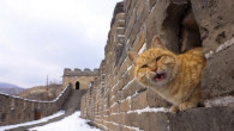 Marele Zid Chinezesc, unul dintre cele mai vizitate locuri din lume | Poza 2 din 11