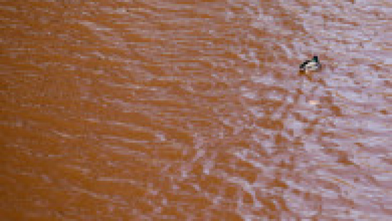Apa lacului din parcul IOR a căpătat o culoare roșie de câteva săptămâni Foto: Inquam Photos / George Călin | Poza 2 din 6
