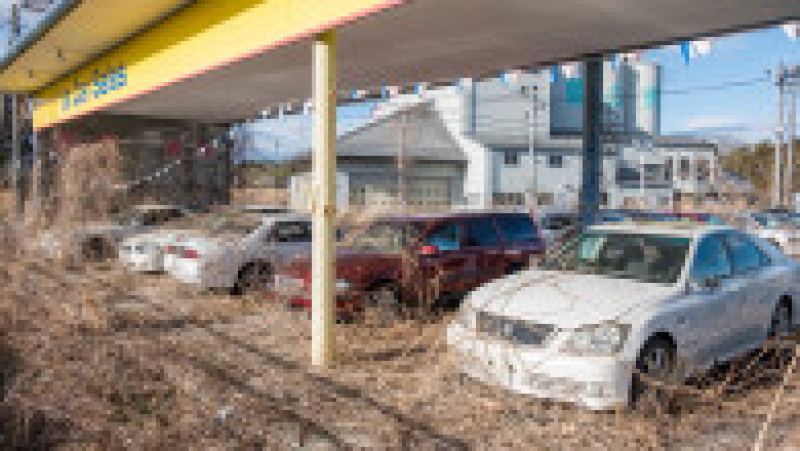 Mașini abandonate în zona interzisă. Sursa foto: Profimedia Images | Poza 8 din 26