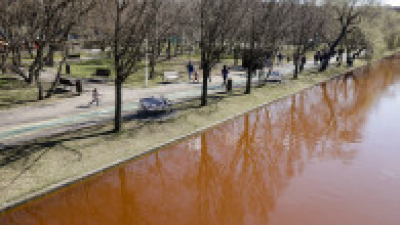 Apa din lacul IOR din Capitală s-a înroșit Inquam Photos / George Călin | Poza 3 din 5