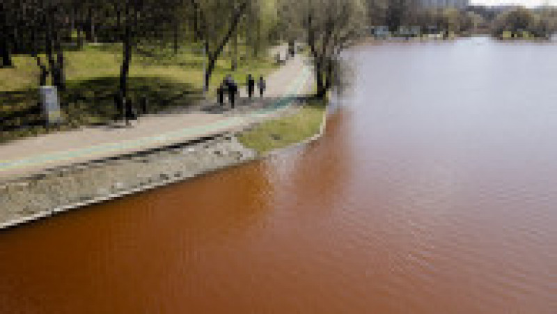 Apa din lacul IOR din Capitală s-a înroșit Inquam Photos / George Călin | Poza 5 din 5