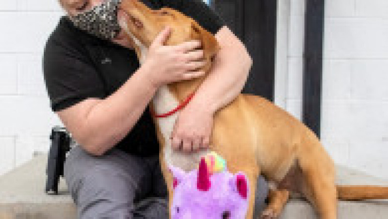 Un câine fără stăpân din SUA a primit cadou un unicorn de pluș pe care îl furase de cinci ori dintr-un magazin. FOTO: Facebook Duplin County Animal Services | Poza 3 din 8
