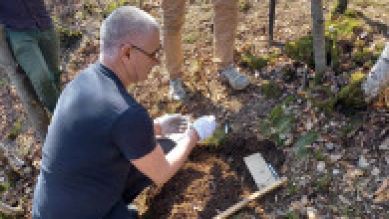 Tezaur format din 42 de monede romane descoperit lângă fosta cetate dacică de la Stârciu. Foto: Facebook/Muzeul Judeţean Zalău | Poza 2 din 8