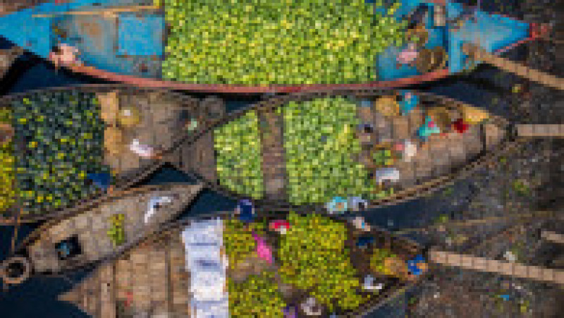 Pepeni transportați în piețele din Dhaka, capitala Bangladeshului FOTO: Profimedia Images | Poza 9 din 18