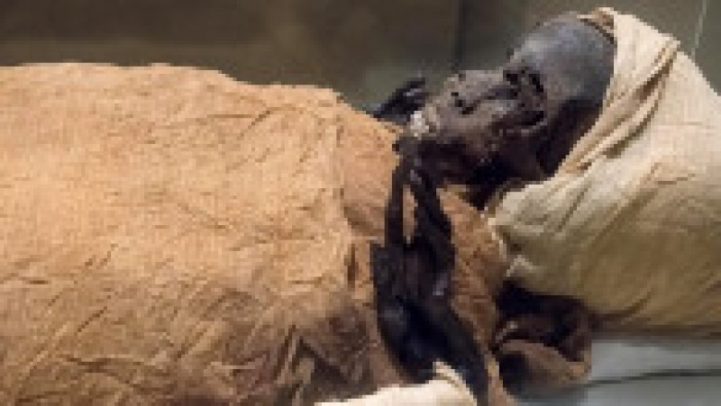 Mumia faraonului Seqenenre Taa II, „Viteazul”, care a domnit peste sudul Egiptului la aproximativ 1.600 î.Hr. Foto: Profimedia Images | Poza 2 din 7