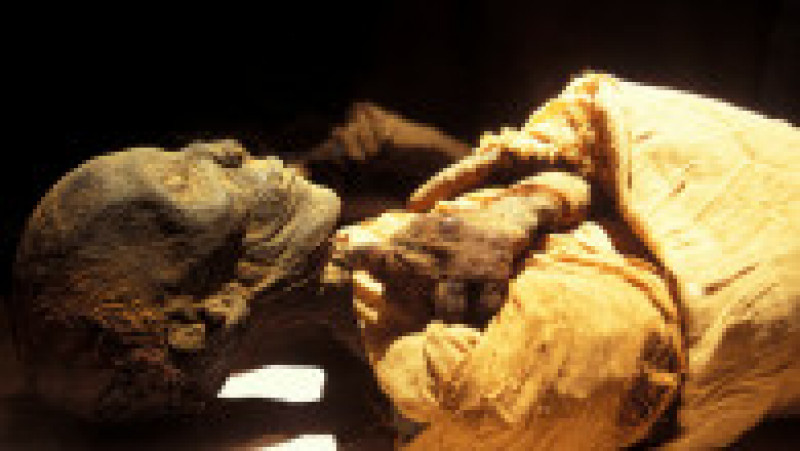 Rămășițe mumificate ale faraonului egiptean Tuthmosis I într-o vitrină climatizată. Tuthmosis I a fost al treilea faraon din dinastia a 18-a și a domnit în Egipt între 1506-1493 î.Hr. Foto: Profimedia Images | Poza 7 din 7