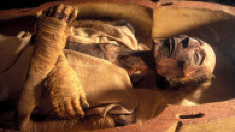 Rămășițe mumificate ale faraonului egiptean Ramses II (1301-1235 î.Hr.) Foto: Profimedia Images | Poza 6 din 7