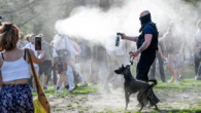 Petrecăreții dintr-un parc din Belgia s-au confruntat cu forțele de ordine Foto: Profimedia | Poza 12 din 15