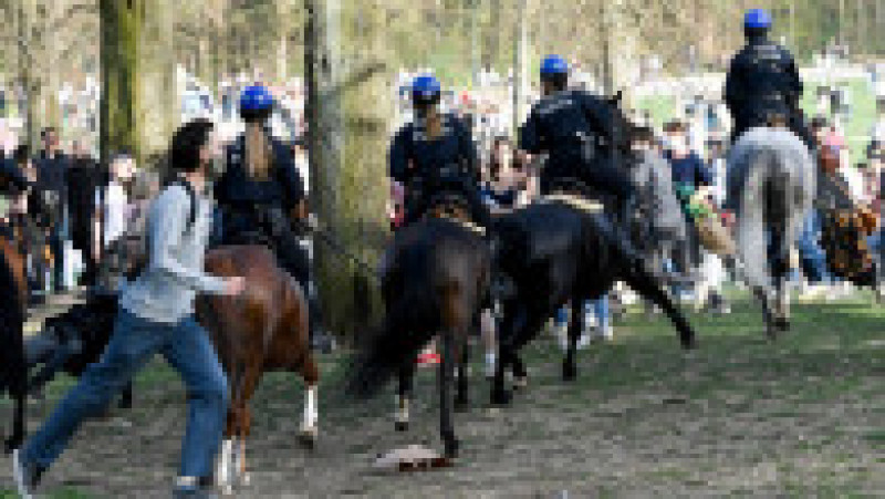 Poliția călare, desfășurată pentru a-i împrăștia pe petrecăreți Foto: Profimedia | Poza 10 din 15