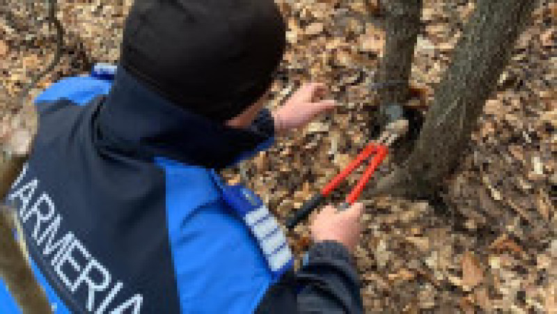 Operațiune de salvare a doi pui de urs. Foto: Garda de mediu Buzău | Poza 3 din 4