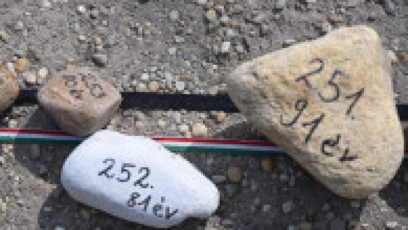 20.000 de pietre aliniate pentru a comemora victimele COVID, la Budapesta, vineri, 2 aprilie 2021 Foto: Profimedia | Poza 2 din 8
