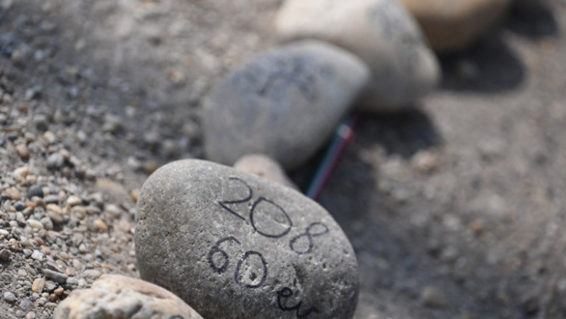 20.000 de pietre au fost aliniate de-a lungul unei alei din Insula Margareta, Budapesta, pentru a comemora cele 20.000 de victime COVID din Ungaria Foto: Profimedia