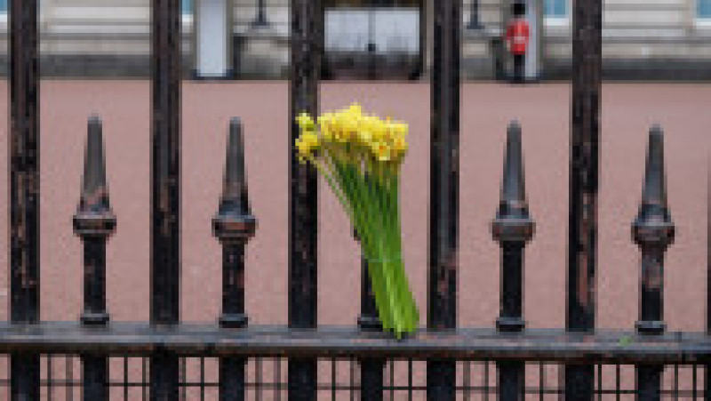 Britanicii au adus flori la Palatul Buckingham în semn de omagiu pentru prințul Philip, care a murit la 9 aprilie 2021, la 99 de ani Foto: Mihai Feflea | Poza 1 din 10
