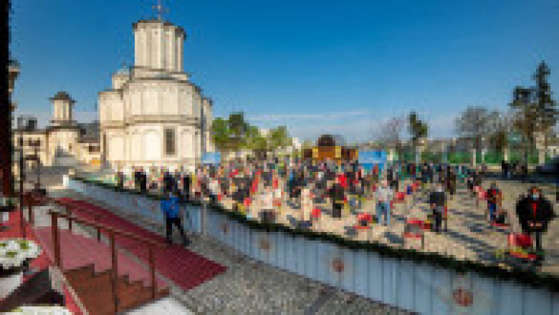 Florii Basilica.ro Mircea Florescu | Poza 17 din 17