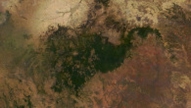 Pădure din Etiopia. Foto: NASA/Earthview | Poza 6 din 8