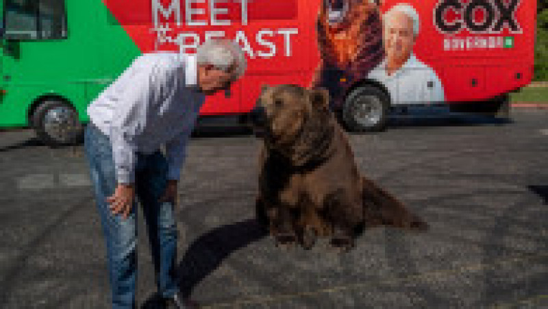 Față în față, cele două „bestii”: candidatul și ursul Foto: Profimedia | Poza 8 din 10