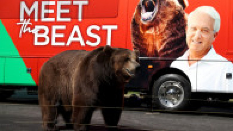 Un urs apare și în afișul campaniei lui John Cox Foto: Profimedia | Poza 9 din 10