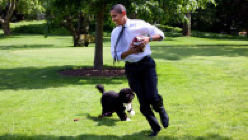 Barack Obama aleargă cu Bo pe peluza Casei Albe. Foto: Profimedia | Poza 1 din 4